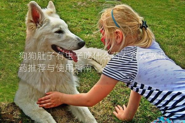 狗狗肚子有虫子吃什么药？有效驱虫药推荐与使用指南