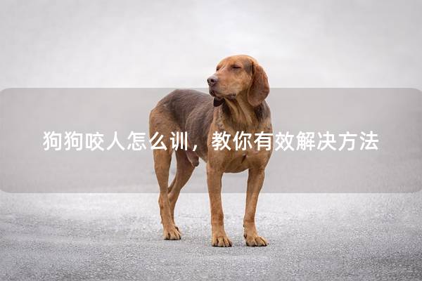 狗狗咬人怎么训，教你有效解决方法