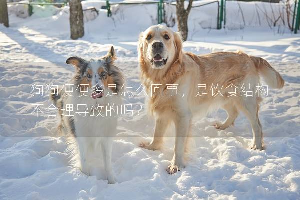 狗狗便便多是怎么回事，是饮食结构不合理导致的吗？