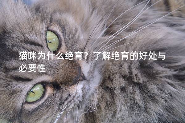 猫咪为什么绝育？了解绝育的好处与必要性
