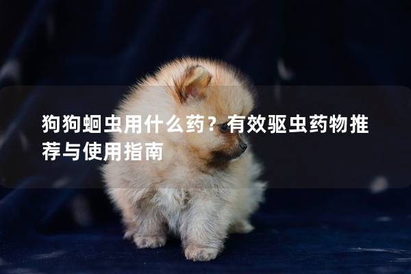 狗狗蛔虫用什么药？有效驱虫药物推荐与使用指南