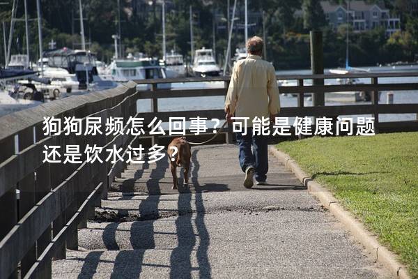 狗狗尿频怎么回事？可能是健康问题还是饮水过多？