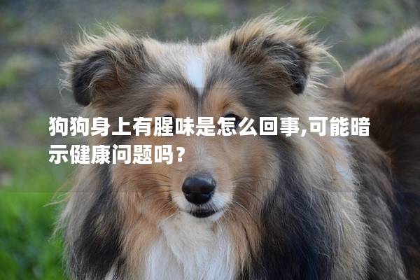狗狗身上有腥味是怎么回事,可能暗示健康问题吗？