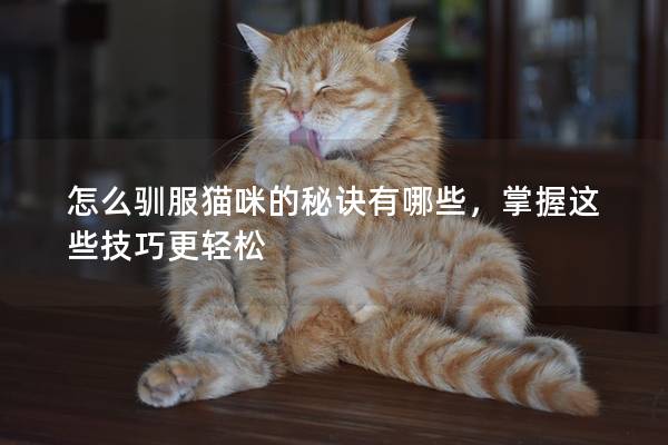 怎么驯服猫咪的秘诀有哪些，掌握这些技巧更轻松