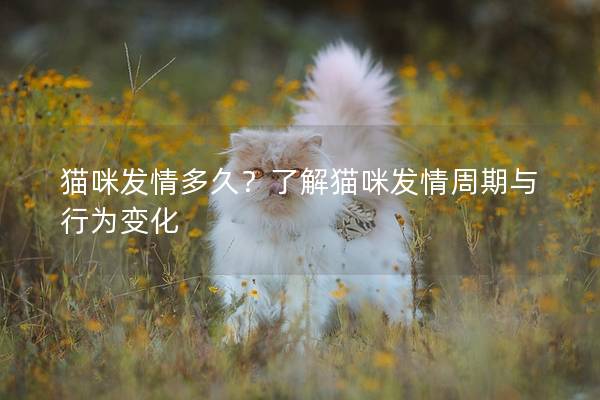 猫咪发情多久？了解猫咪发情周期与行为变化