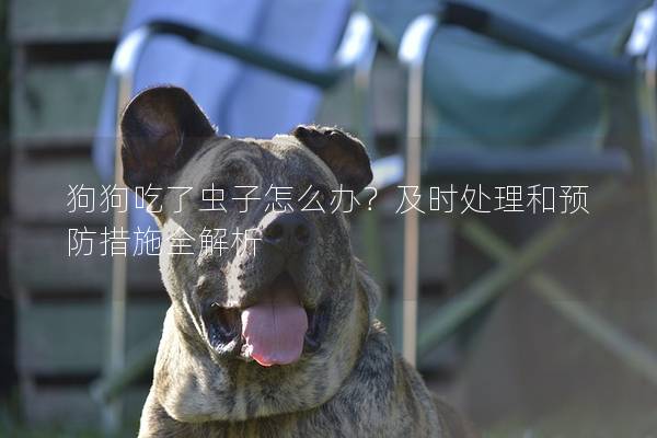 狗狗吃了虫子怎么办？及时处理和预防措施全解析