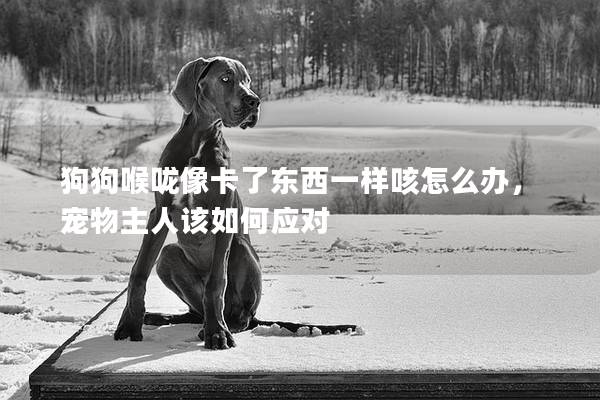 狗狗喉咙像卡了东西一样咳怎么办，宠物主人该如何应对