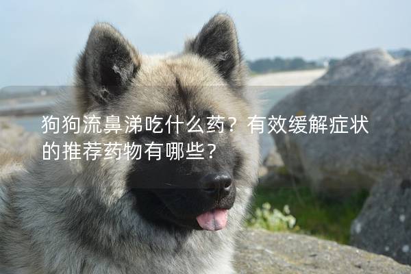 狗狗流鼻涕吃什么药？有效缓解症状的推荐药物有哪些？