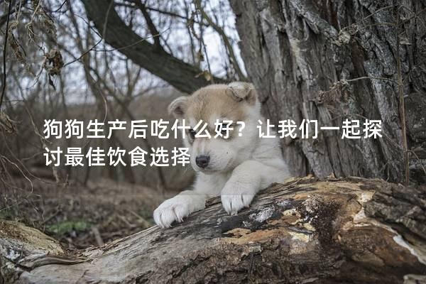 狗狗生产后吃什么好？让我们一起探讨最佳饮食选择