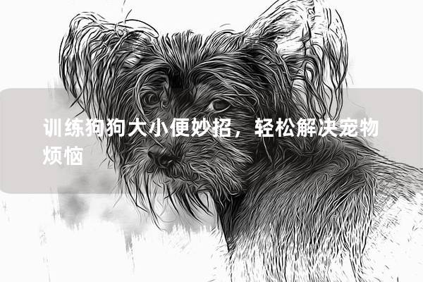 训练狗狗大小便妙招，轻松解决宠物烦恼