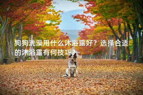 狗狗洗澡用什么沐浴露好？选择合适的沐浴露有何技巧？
