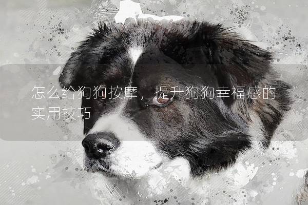 怎么给狗狗按摩，提升狗狗幸福感的实用技巧