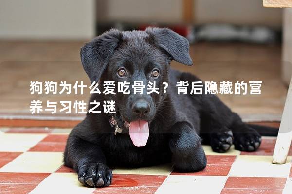 狗狗为什么爱吃骨头？背后隐藏的营养与习性之谜