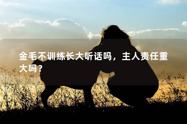 金毛不训练长大听话吗，主人责任重大吗？