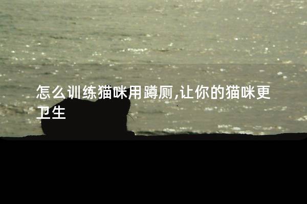 怎么训练猫咪用蹲厕,让你的猫咪更卫生