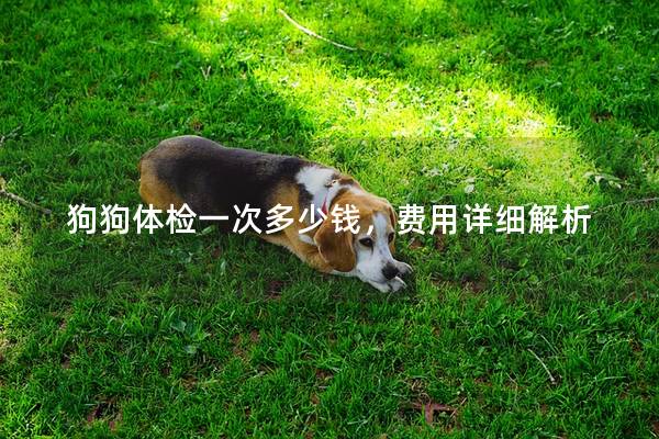 狗狗体检一次多少钱，费用详细解析
