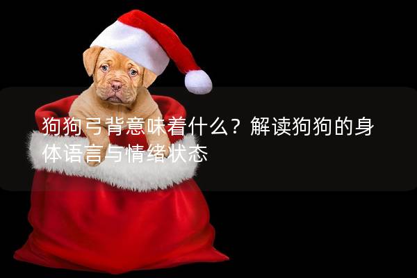 狗狗弓背意味着什么？解读狗狗的身体语言与情绪状态