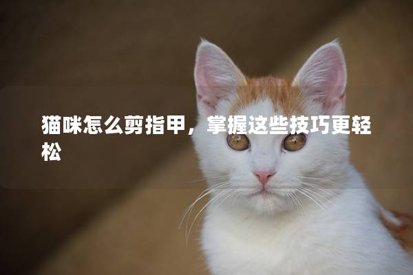 猫咪怎么剪指甲，掌握这些技巧更轻松