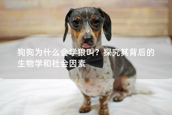狗狗为什么会学狼叫？探究其背后的生物学和社会因素