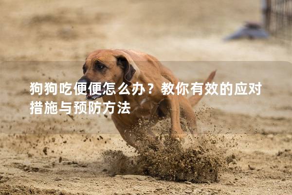 狗狗吃便便怎么办？教你有效的应对措施与预防方法