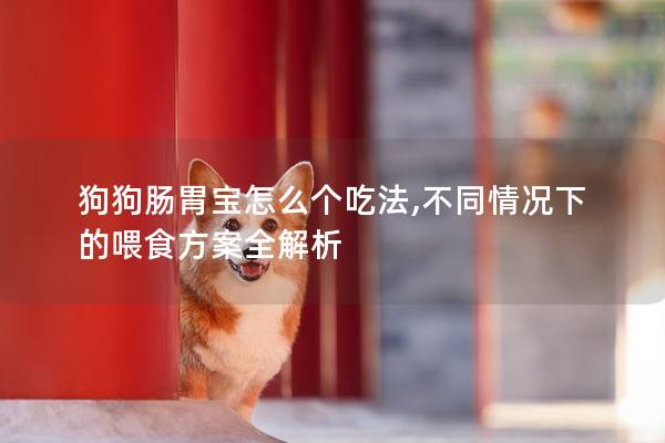 狗狗肠胃宝怎么个吃法,不同情况下的喂食方案全解析