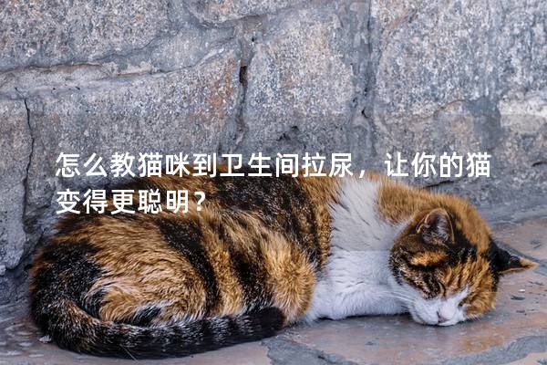 怎么教猫咪到卫生间拉尿，让你的猫变得更聪明？