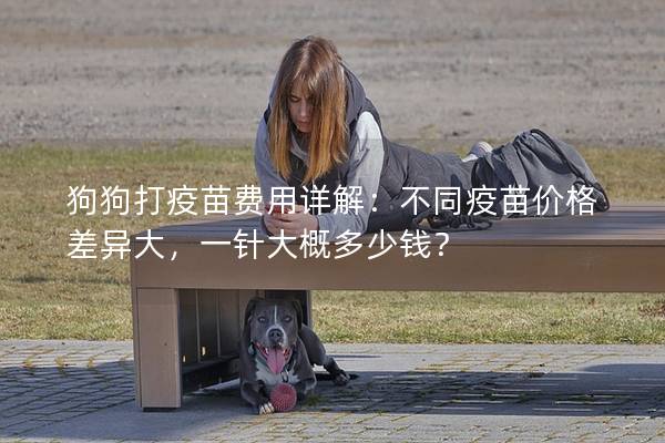 狗狗打疫苗费用详解：不同疫苗价格差异大，一针大概多少钱？