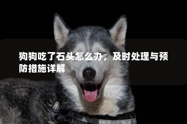 狗狗吃了石头怎么办，及时处理与预防措施详解
