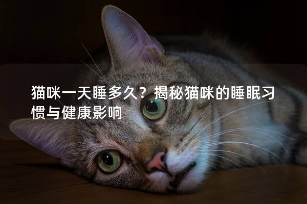 猫咪一天睡多久？揭秘猫咪的睡眠习惯与健康影响