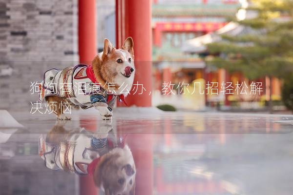 狗狗有泪痕怎么办，教你几招轻松解决烦恼