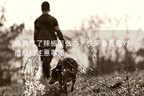 狗狗吃了辣椒怎么办？快来看看应对措施和注意事项