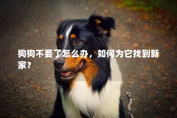 狗狗不要了怎么办，如何为它找到新家？