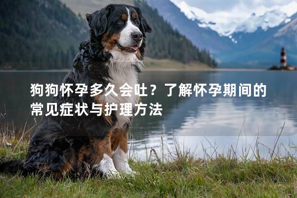 狗狗怀孕多久会吐？了解怀孕期间的常见症状与护理方法