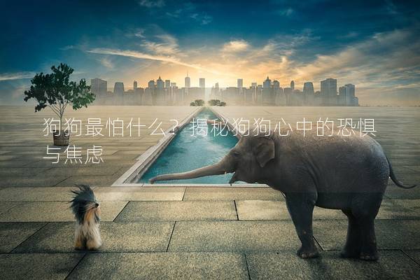 狗狗最怕什么？揭秘狗狗心中的恐惧与焦虑