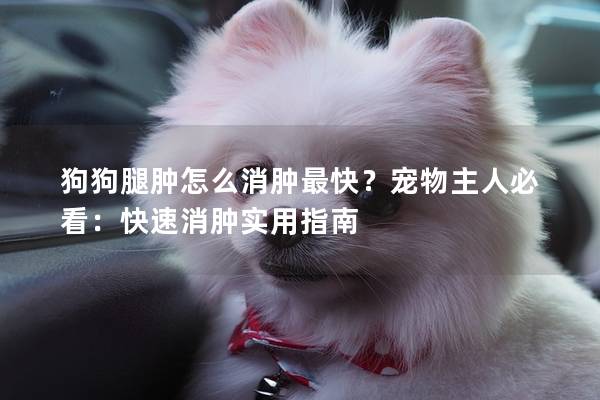 狗狗腿肿怎么消肿最快？宠物主人必看：快速消肿实用指南