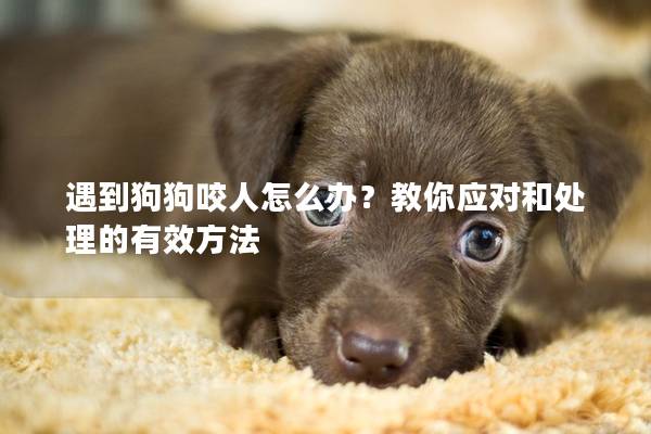 遇到狗狗咬人怎么办？教你应对和处理的有效方法