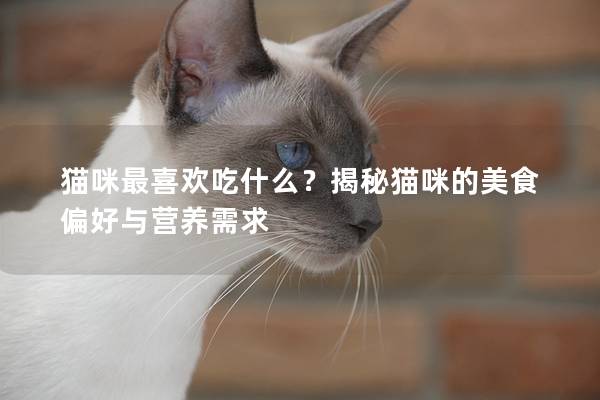 猫咪最喜欢吃什么？揭秘猫咪的美食偏好与营养需求