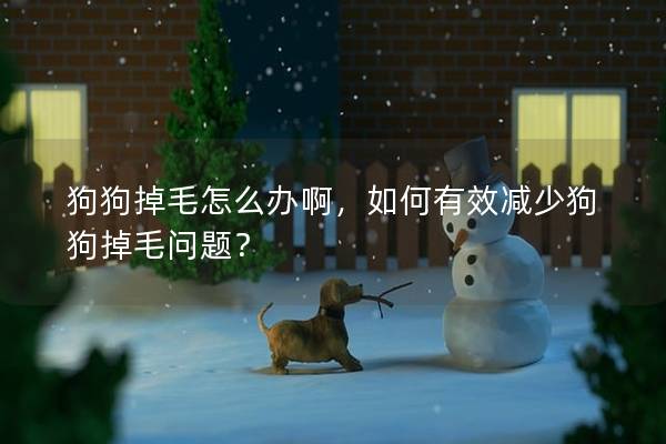 狗狗掉毛怎么办啊，如何有效减少狗狗掉毛问题？