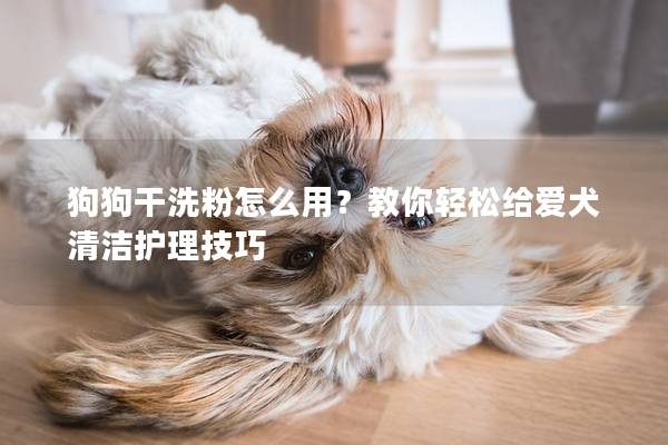 狗狗干洗粉怎么用？教你轻松给爱犬清洁护理技巧
