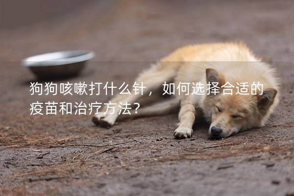 狗狗咳嗽打什么针，如何选择合适的疫苗和治疗方法？