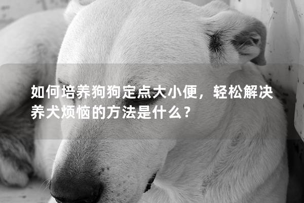 如何培养狗狗定点大小便，轻松解决养犬烦恼的方法是什么？