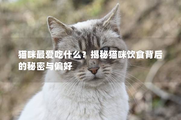 猫咪最爱吃什么？揭秘猫咪饮食背后的秘密与偏好