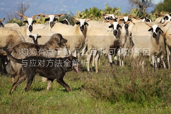 狗狗有点干呕怎么回事,可能的原因与应对方法全解析