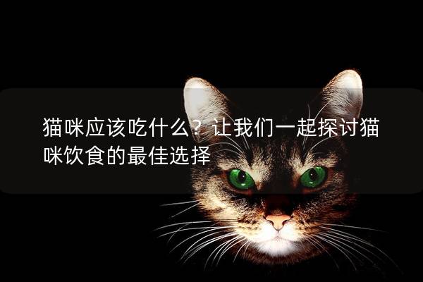 猫咪应该吃什么？让我们一起探讨猫咪饮食的最佳选择