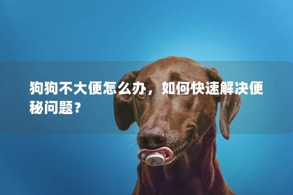 狗狗不大便怎么办，如何快速解决便秘问题？