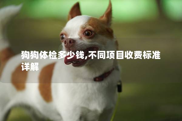 狗狗体检多少钱,不同项目收费标准详解