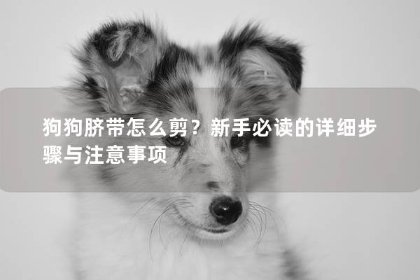 狗狗脐带怎么剪？新手必读的详细步骤与注意事项