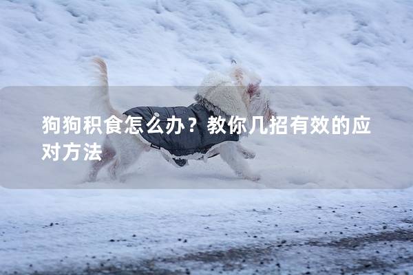 狗狗积食怎么办？教你几招有效的应对方法