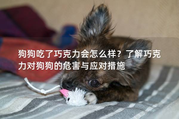 狗狗吃了巧克力会怎么样？了解巧克力对狗狗的危害与应对措施