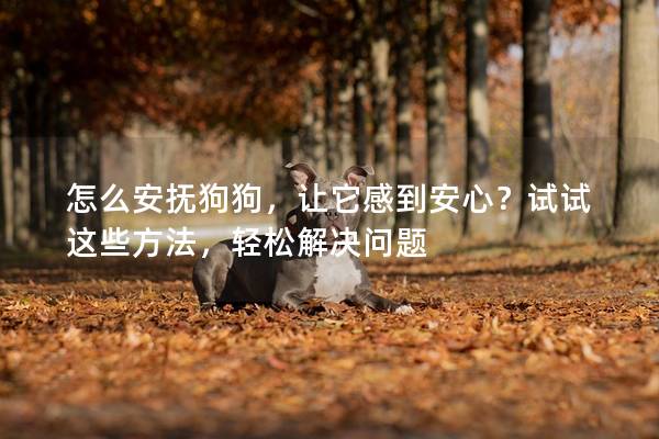 怎么安抚狗狗，让它感到安心？试试这些方法，轻松解决问题